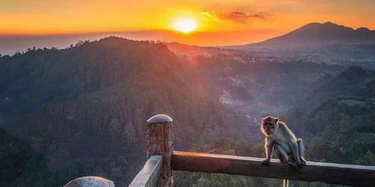 7 Wisata Dago yang Populer dan Wajib Dikunjungi, Unik dan Menarik