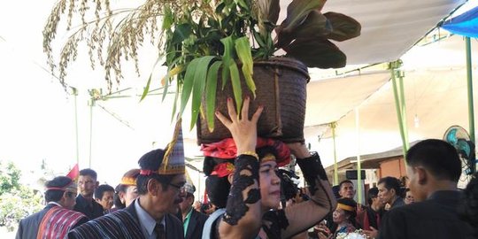 Mengenal Batu Siungkap Ungkapon, Upacara Adat Toba Penentu Hasil Panen Berkualitas