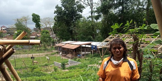 Perempuan Yogyakarta Jaga Ketahanan Pangan Lewat Urban Farming