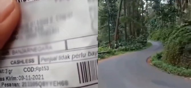 curhatan kurir antar paket lewati hutan