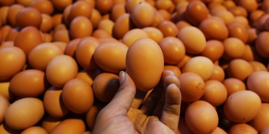 Pedagang Sebut Kenaikan Harga Telur Ayam di Luar Batas Kewajaran