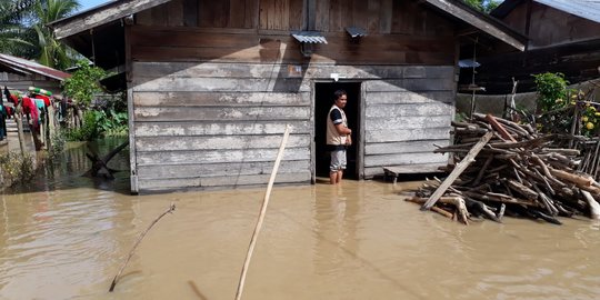 Jokowi Buka-Bukaan Biang Kerok Banjir di Sintang Kalimantan Barat