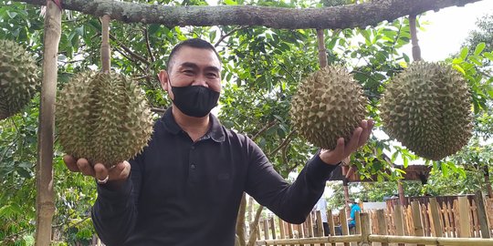 Abah Anton, Mantan Wali Kota Malang Kini Jadi Tukang Belah Durian