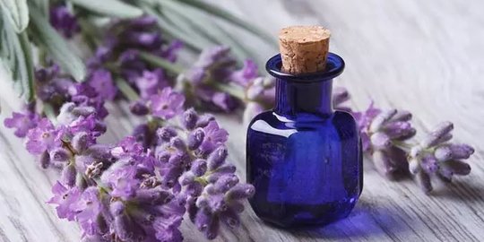 10 Manfaat Lavender Oil bagi Kesehatan, Mengatasi Kecemasan hingga Insomnia