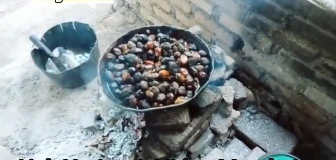 nenek ini tinggal di kebun sawit milik warga kondisi rumahnya memprihatinkan