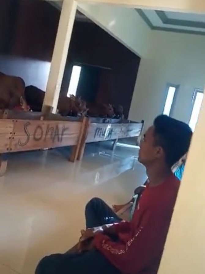kandang sapi mewah
