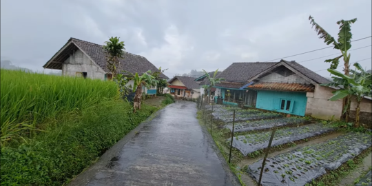 Dikelilingi Gunung dan Berkabut saat Hujan, Kampung di Jawa Barat Ini Mirip Swiss