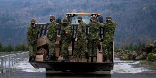 Naik Buldozer, Militer Kanada Selamatkan Ayam-Ayam di Peternakan yang Kebanjiran