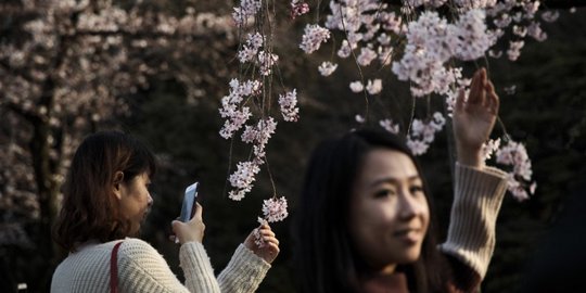 166 Kata-kata Bahasa Jepang Sehari-hari, Mudah untuk Dihafalkan