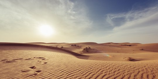 Mengenal Iklim Arid beserta Ciri-ciri dan Kondisi Lingkungannya
