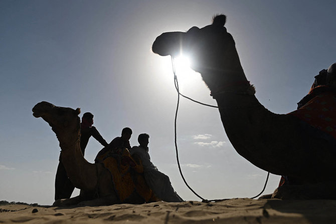 unta unta di gurun thar india menanti turis
