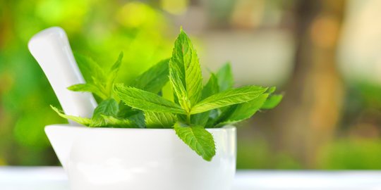 15 Manfaat Peppermint bagi Kesehatan, Kaya Mentol dan Vitamin
