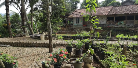 Potret Kampung Unik di Bandung, Rumah Warga dan Jalan Dibangun Pakai Batu