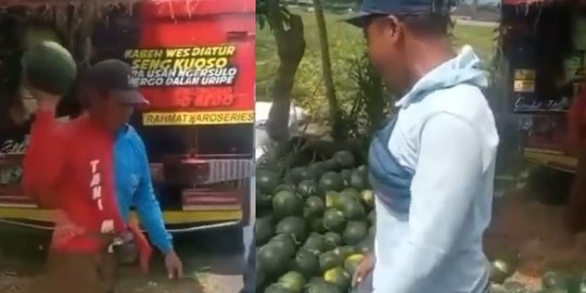 Harga Buah Semangka Murah, Petani Ngamuk Hancurkan Hasil Panennya