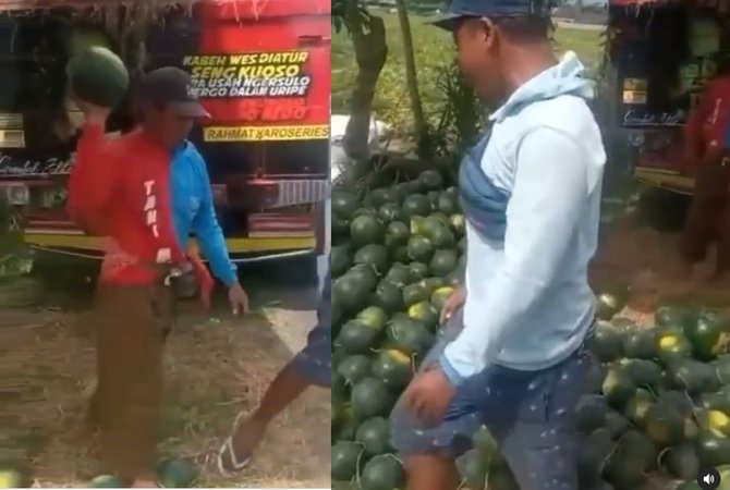 petani hancurkan hasil panennya