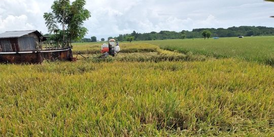 Indonesia Punya Aset Rp11.000 Triliun, Mayoritas Tanah