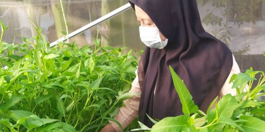 Perempuan Surabaya Didorong Jadi Petani Kota, Manfaatnya Besar Banget