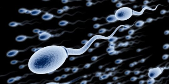 CEK FAKTA: Hoaks, Sperma Orang yang Sudah Divaksin Tidak Sehat