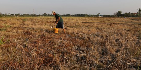 Tanah Kas Desa Tak Boleh Dikelola Sembarangan, Kejari Jember Ingatkan Kepala Desa