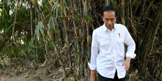Jokowi: Kita Belum Melakukan Impor Beras Sama Sekali di 2021