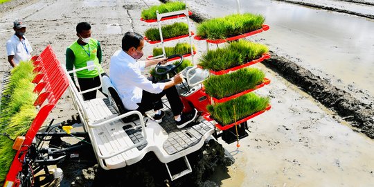 Saat Jokowi Jajal Mesin Tanam Padi di Trenggalek