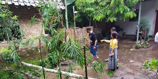 Kalah Pilkades, Kades di Jember Blokir Jalan Desa dengan Tanam Pisang