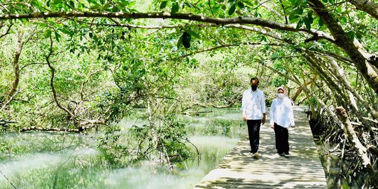 KLHK Optimis Hutan Mangrove di Bali Bisa Dikunjungi Delegasi G20