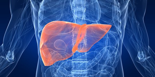 Tanda Liver Bermasalah yang Perlu Diwaspadai, Kenali Cara Mencegahnya