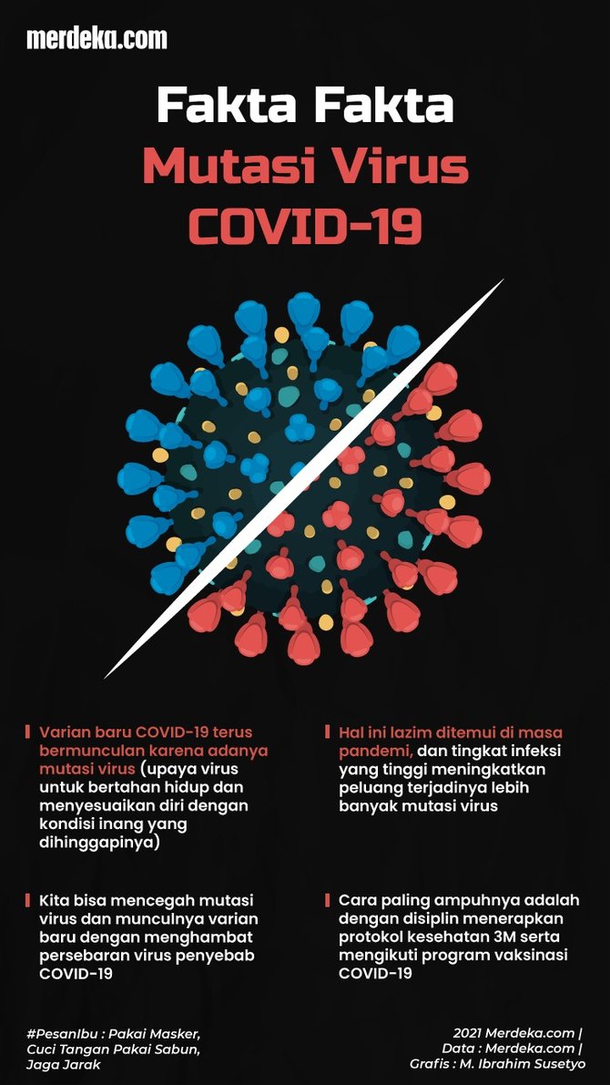 infografis fakta fakta mutasi virus covid 19