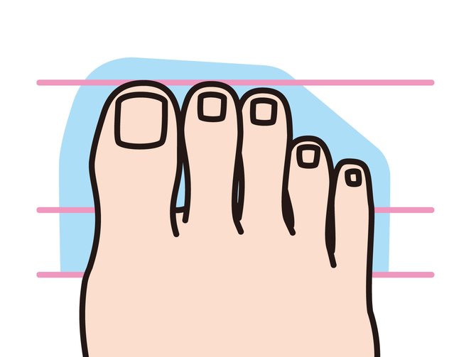ilustrasi bentuk jari kaki