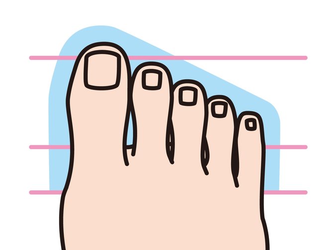 ilustrasi bentuk jari kaki