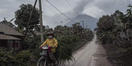 PVMBG Sebut Awan Panas Semeru Mengarah ke Desa Besuk Kobokan