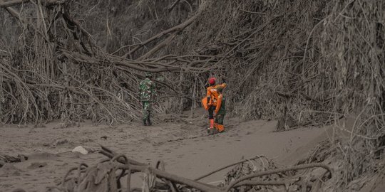 Aksi Basarnas dan TNI Sisir Lokasi Terdampak Erupsi Gunung Semeru