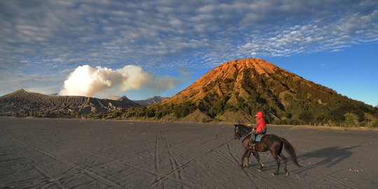 Tak Terdampak Erupsi Gunung Semeru, Kawasan Bromo Beroperasi Normal