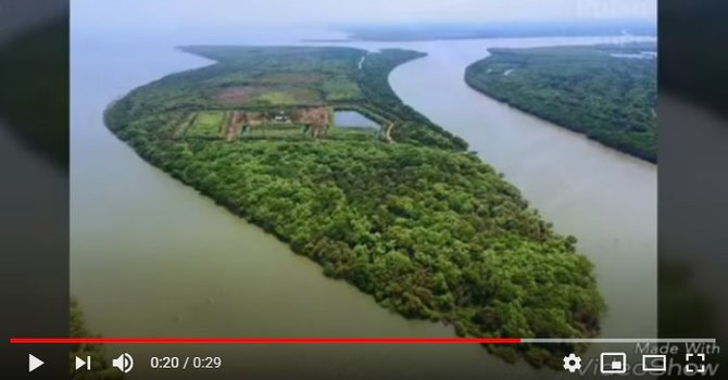 pulau sarinah sidoarjo