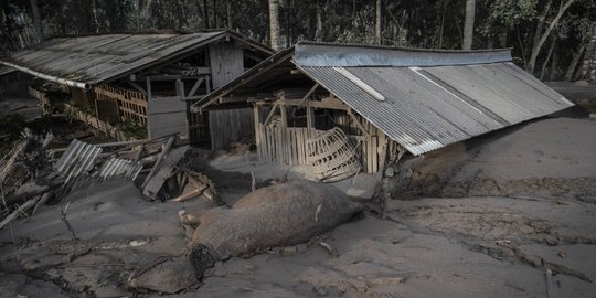 2.970 Rumah di Lumajang Terdampak Erupsi Gunung Semeru