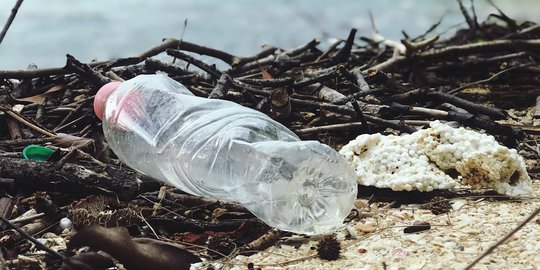 Pentingnya Menjaga Lingkungan agar Tetap Lestari dan Asri, Wajib Dilakukan