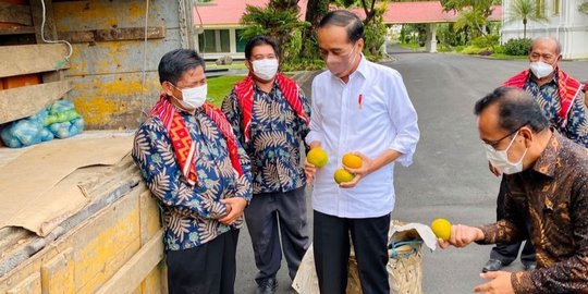 Jokowi Terima 3 Ton Jeruk dari Warga Karo, Janji Jalan Rusak Segera Diperbaiki