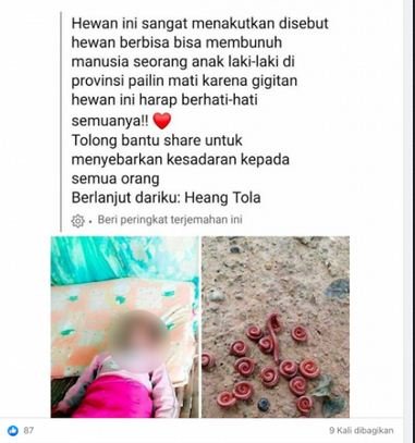 hoaks kaki seribu mematikan