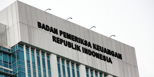 BPK Temukan Dua Masalah dalam Program Pemulihan Ekonomi Nasional