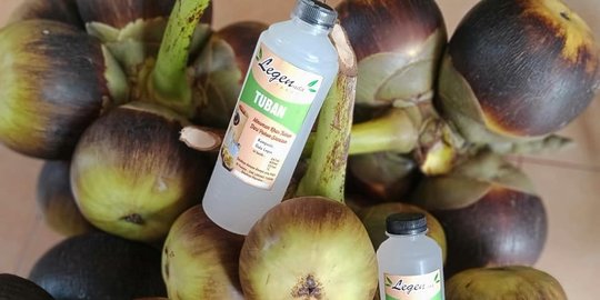 Asyik Banget, Begini Sensasi Minum Legen Pakai Gelas Bambu di Kebun Siwalan Tuban