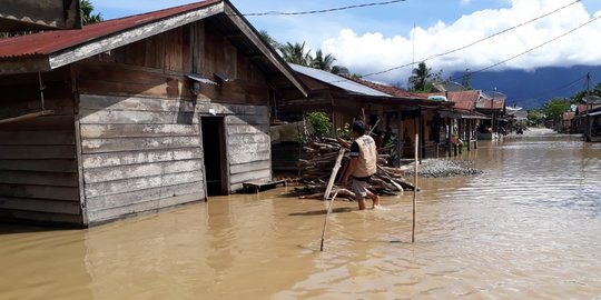 Kepala BNPB Tinjau Penanganan Banjir di Sintang