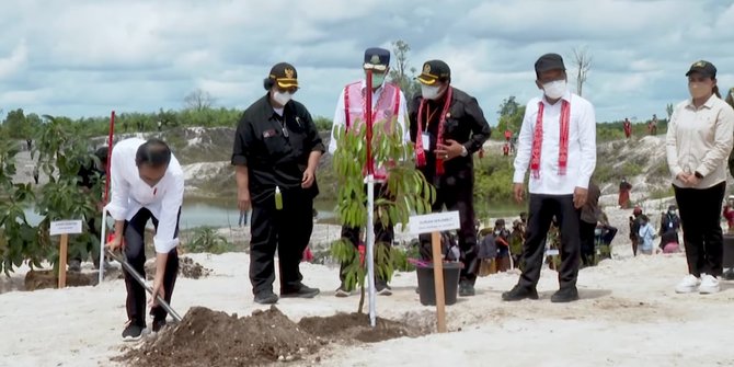Jokowi Tanam Pohon di Lahan Bekas Tambang Emas
