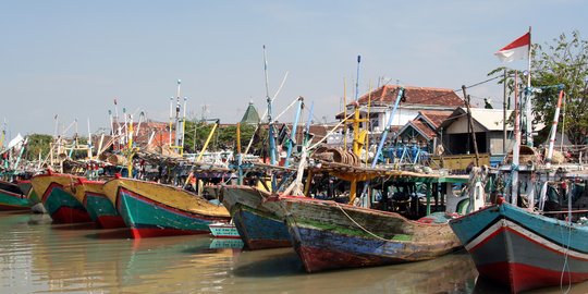5 Negara Ini Jadi Tujuan Utama Ekspor Perikanan Indonesia