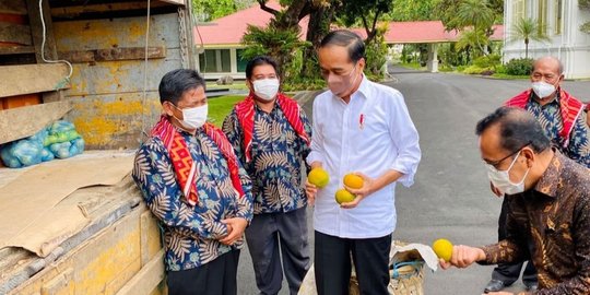 KPK Imbau Jokowi Salurkan Jeruk 3 Ton Pemberian Warga untuk Hindari Gratifikasi