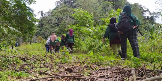 Mpu Uteun, Kisah Perempuan-Perempuan Penjaga Hutan di Damaran Baru Aceh