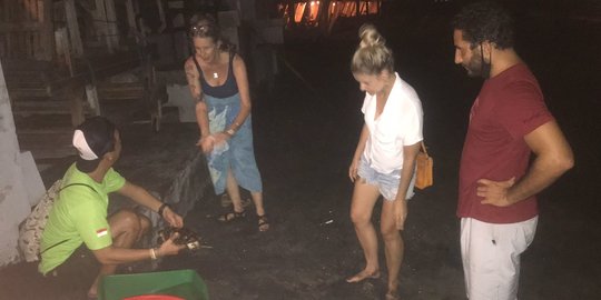 8 Penyu Terdampar di Pantai Bali, Satu Mati Terjebak Tumpukan Sampah