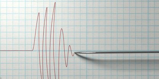 Pagar Sekolah di Kepulauan Selayar Roboh akibat Gempa Larantuka