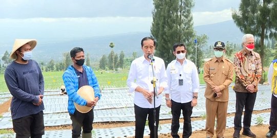 Jokowi Minta Kepastian Harga Bawang Merah Tidak Dipermainkan Tengkulak