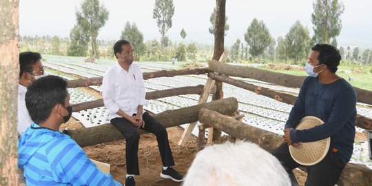 Telepon Mendag, Jokowi Sampaikan Keluhan Petani Bawang